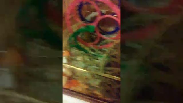 Жизнь хомяков смотреть онлайн