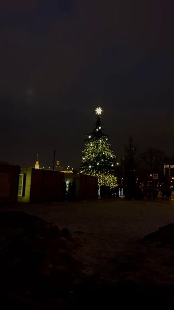 Елки Москва, Россия, Новый год. #елки #новыйгод #россия #москва #январь2025 #прогулкипомоскве #зима смотреть онлайн