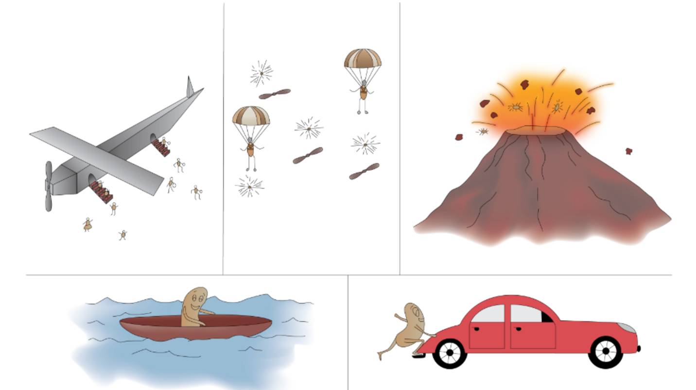 КАК растения распространяют свои СЕМЕНА. Биология для детей смотреть онлайн