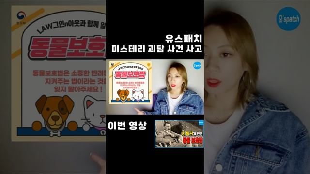 [유'숏패치] 세계 최초 동물보호법을 만든 사람은 나치의 히틀러이다. #shorts смотреть онлайн