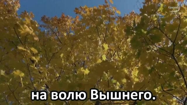 Я знаю Бог не ошибается смотреть онлайн