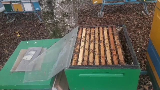 карника Лунц - состояние тестируемых семей смотреть онлайн