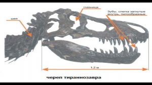 Тиранозавр VS Кархародонтозавр | Битвы динозавров