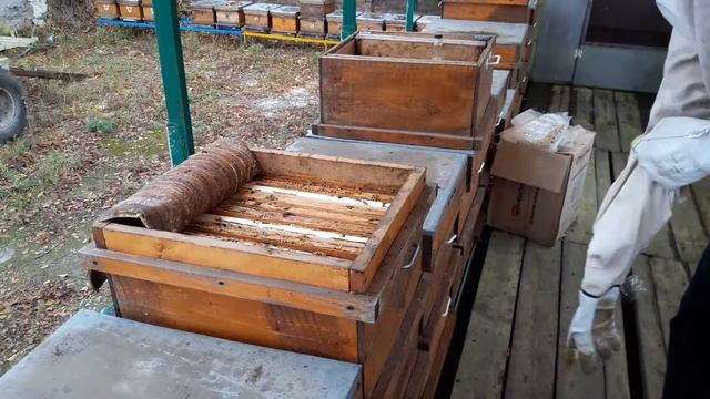 семья 3 корпуса в зиму смотреть онлайн