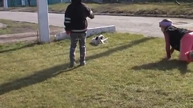 Бим загонял детей смотреть онлайн