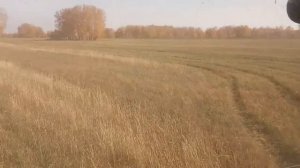 Комбайн Енисей 1200 НМ в сравнении с "Нивой" СК-5. #33 Продолжение нашего КолХОЗного сериала...