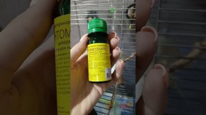 обработка попугаев 🦜 от блох и пухоедов