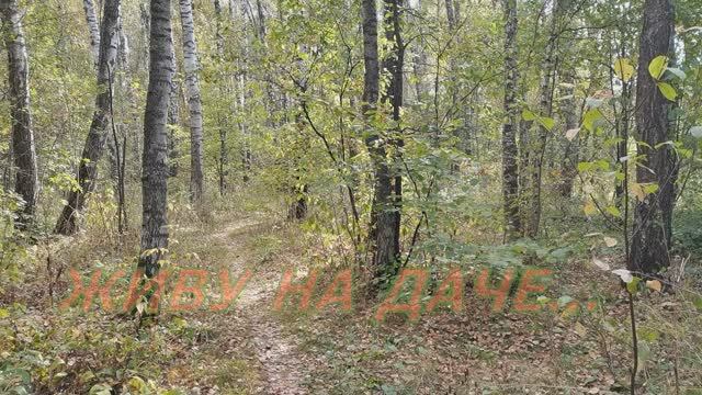 ЖИВУ НА ДАЧЕ.