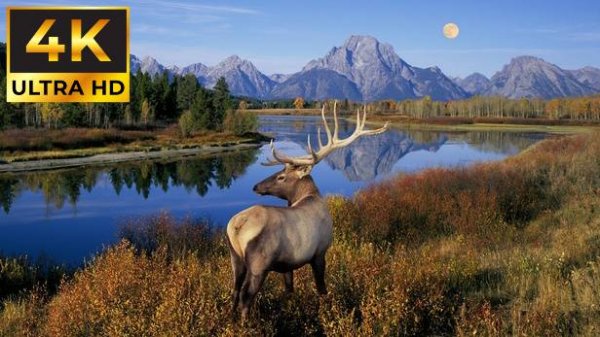 Лучшее видео 4K HDR ULTRA HD (4K TV)