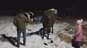02 Зимние будни нового сезона