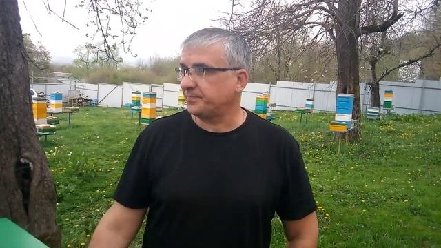 Когда в продаже будут первые матки смотреть онлайн