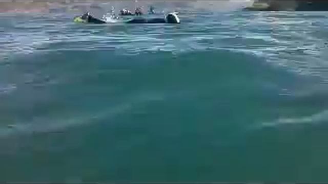 onuku dolphin swimming смотреть онлайн