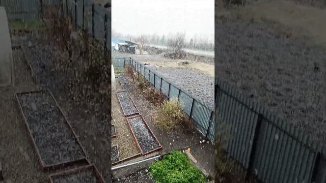 Снег. Восточный Казахстан.