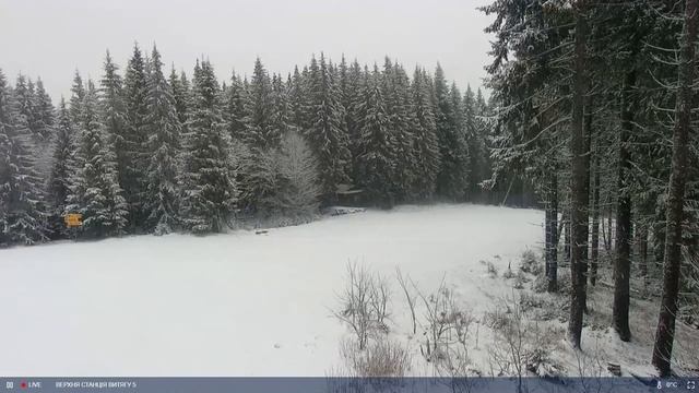 ВЕРХНЯ СТАНЦІЯ ВИТЯГУ 5. БУКОВЕЛЬ 20-1-23-UPPER EXTRACTION STATION 5 BUKOVEL смотреть онлайн