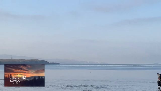 охота на уток с подсадными утками смотреть онлайн