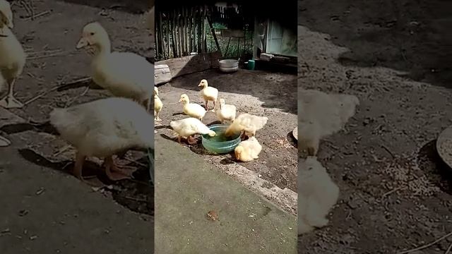 17 июня 2021 г. смотреть онлайн