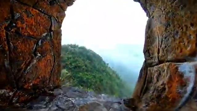 Torre Britton 🏞 El Yunque, Puerto Rico смотреть онлайн