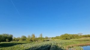 Самолет пугает рыбу сверхзвуковым хлопком.