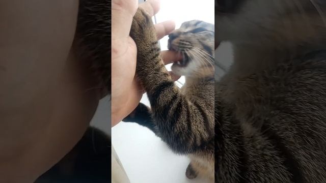 9 февраля 2023 г. смотреть онлайн