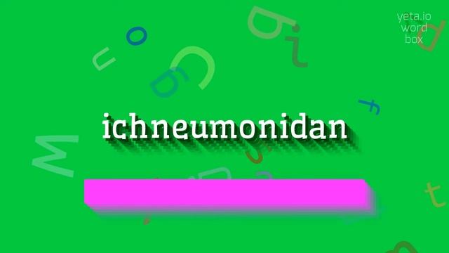 ICHNEUMONIDAN - HOW TO SAY ICHNEUMONIDAN? #ichneumonidan смотреть онлайн