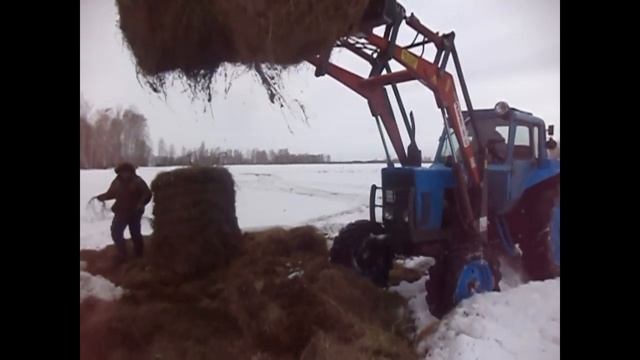 Первый выезд в поле. Вывозим последние рулоны сена смотреть онлайн
