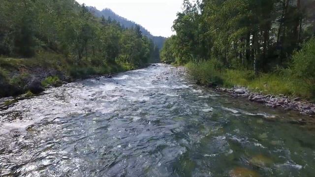 Горный Алтай 15.08.2019 Река Куба Чемальский район  Урочище Ареда
