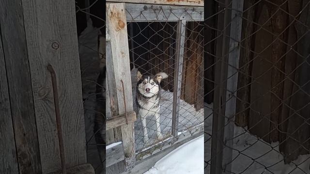 Разве я не красотка смотреть онлайн