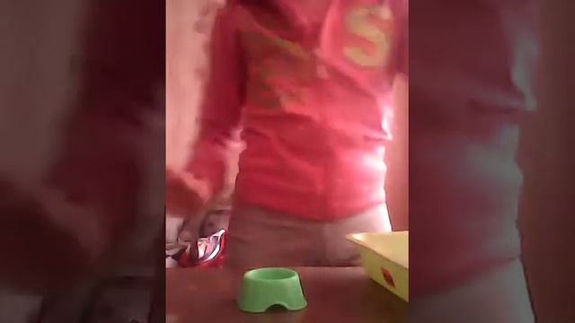 Уборка в клетке хомяка и хомячат смотреть онлайн