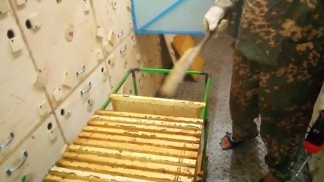 Два помощника при отборе рамок на откачку смотреть онлайн