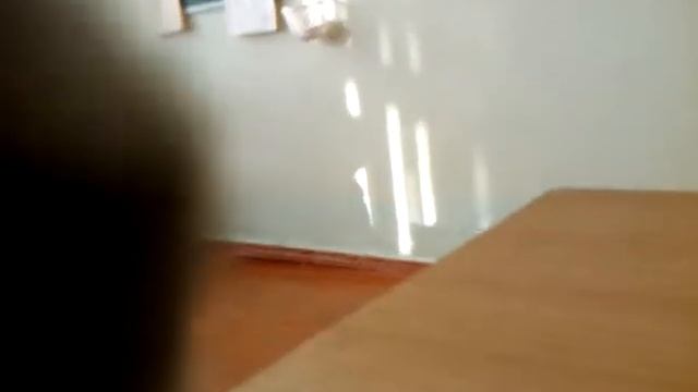 Географица шрек че ль ???) смотреть онлайн