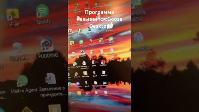 Гусь на рабочем столе ￼ смотреть онлайн