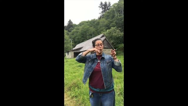 Kim's Road Show (ASL)- Disguised Radar Houses/California (ASL/Spoken English/English Caption) смотреть онлайн