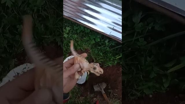 The Isle. Нашел Живого Динозавра! Из жизни 😆✌️ смотреть онлайн