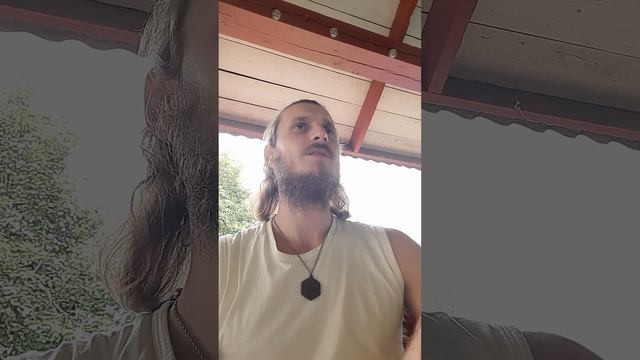 Родовые программы, часть 1 Михаил Овсянкин смотреть онлайн
