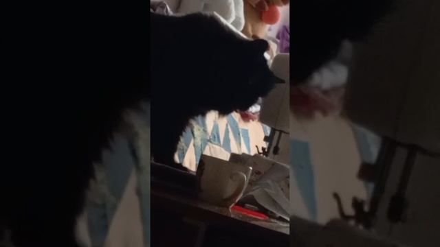 Пока никто не видит 😂😂😂 смотреть онлайн