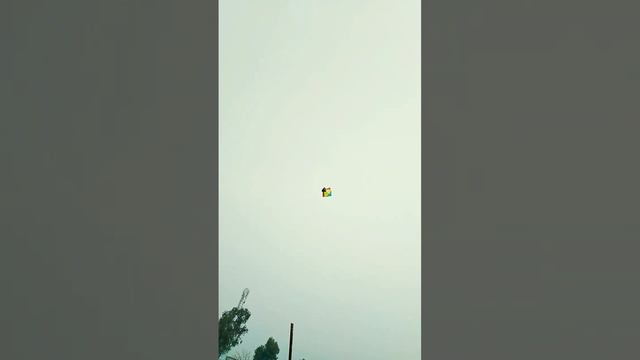 kite flying with Indian manja patang #shorts смотреть онлайн