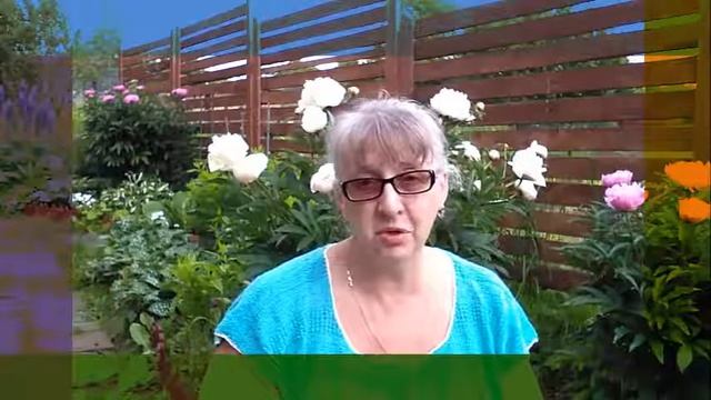 Как я начала бы бизнес сейчас смотреть онлайн