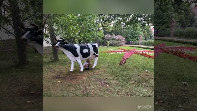 Прометей Клуб Лазаревское, Сочи смотреть онлайн