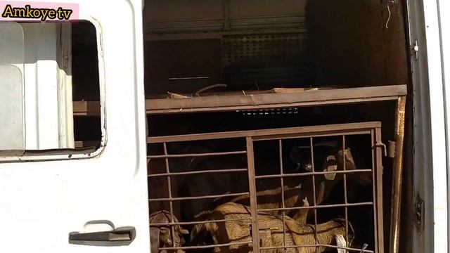مرسيدس 207للبيع لباغي اكسب وباغي اخدم على راسو كاينة باقي نقية كاينة فالمعزيز اقليم الخميسات смотреть онлайн