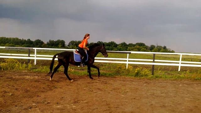 Адриаан галоп смотреть онлайн