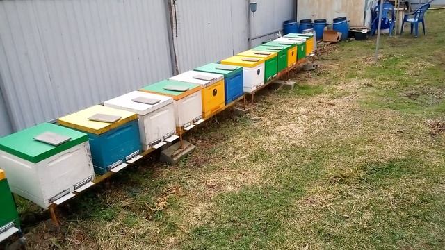 Зимняя ревизия-что и как