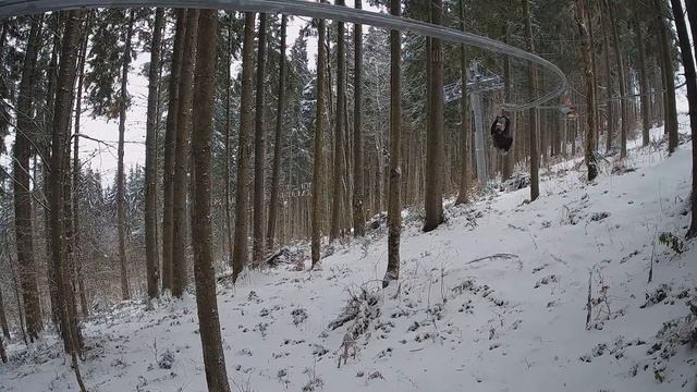 2021 01 29 25 export смотреть онлайн