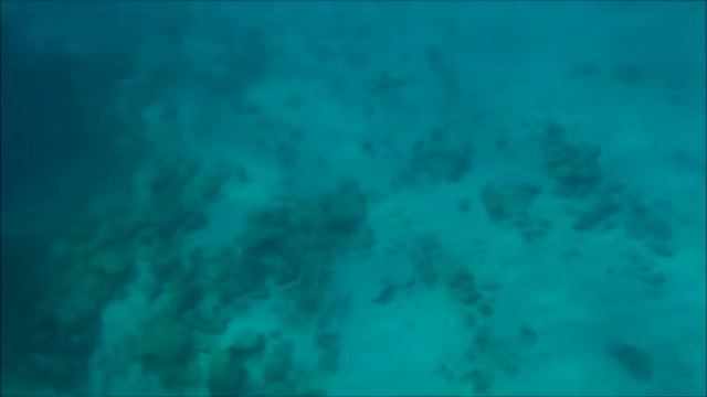 Cuba Underwater смотреть онлайн