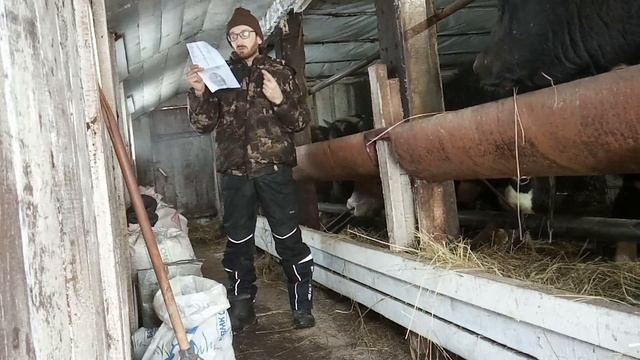 Интенсивный откорм - итоги. Выгодно ли? №5 смотреть онлайн