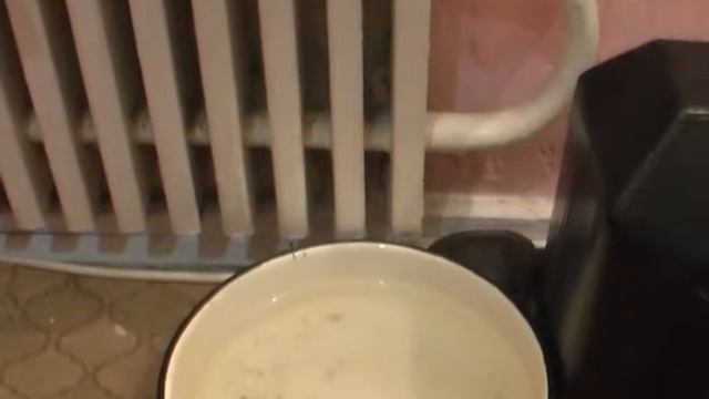 Дерзкий побег! #shorts смотреть онлайн