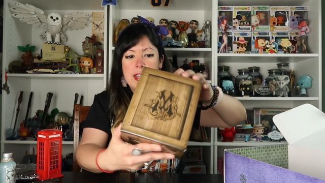 ✨THE WIZARDING TRUNK | The Ministry | December 2022 | A Harry Potter Unboxing✨ смотреть онлайн