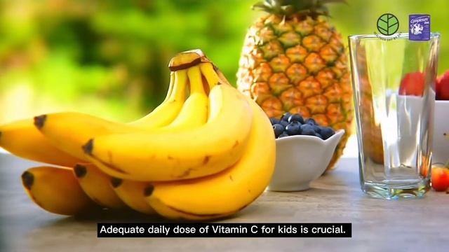 Biobay Vitamin C Gummy | Kid Smart Vita Gummies Vitamin C смотреть онлайн