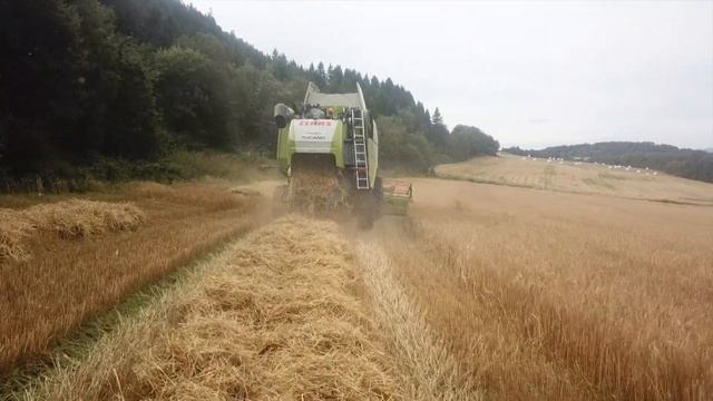 CLAAS TUCANO 430 MONTANA | Hammer og Lie смотреть онлайн