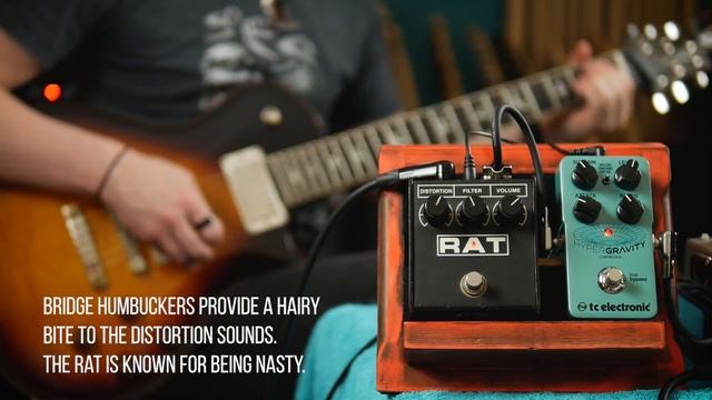 1988 ProCo RAT (LM308) | Gain Appreciation