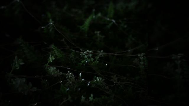 Гирлянда «Нить» 20 м роса, IP44 серебристая нить, 200 LED, 2 режима, солнечная батарея смотреть онлайн